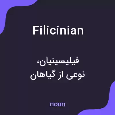 معنی filicinian به فارسی معنی filicinian به فارسی