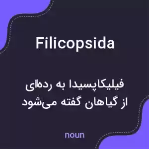 معنی filicopsida به فارسی معنی filicopsida به فارسی