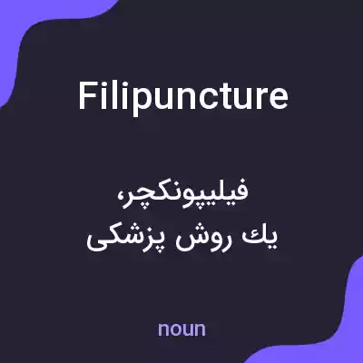 معنی filipuncture به فارسی معنی filipuncture به فارسی