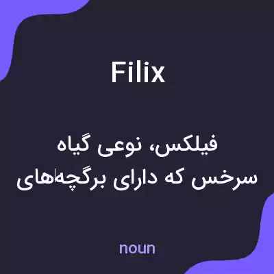 معنی filix به فارسی معنی filix به فارسی