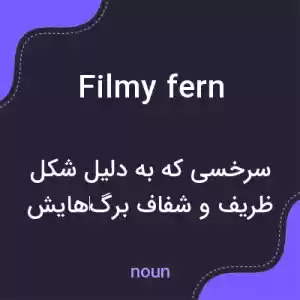معنی filmy fern به فارسی معنی filmy fern به فارسی