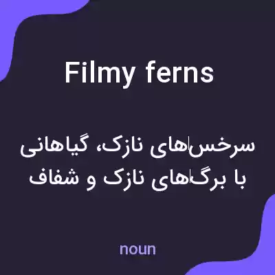 معنی filmy ferns به فارسی معنی filmy ferns به فارسی