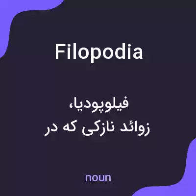 معنی filopodia به فارسی معنی filopodia به فارسی