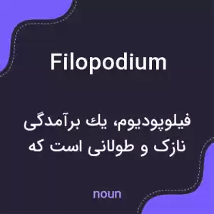 معنی filopodium به فارسی معنی filopodium به فارسی