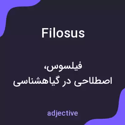 معنی filosus به فارسی معنی filosus به فارسی