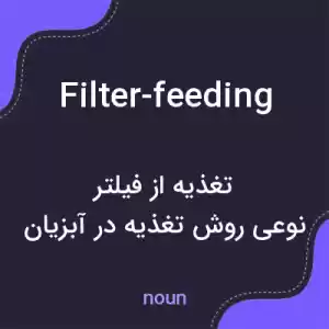 معنی filter-feeding به فارسی