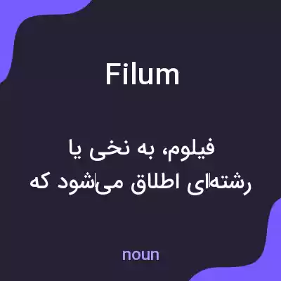 معنی filum به فارسی معنی filum به فارسی