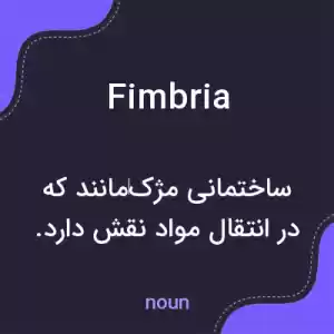 معنی fimbria به فارسی