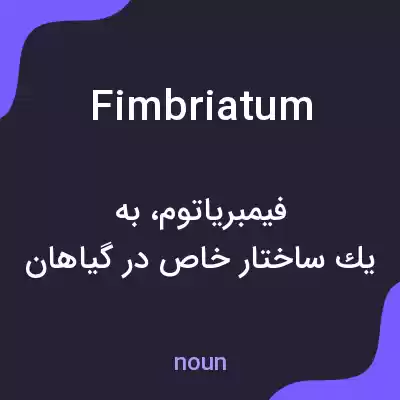معنی fimbriatum به فارسی معنی fimbriatum به فارسی