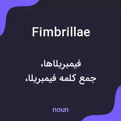 معنی fimbrillae به فارسی معنی fimbrillae به فارسی