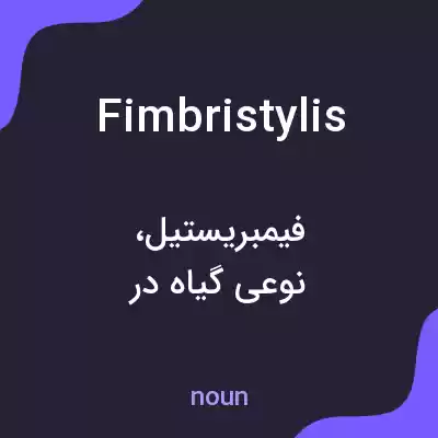 معنی fimbristylis به فارسی معنی fimbristylis به فارسی