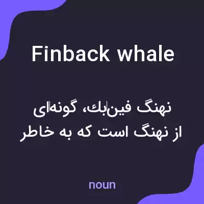 معنی finback whale به فارسی معنی finback whale به فارسی