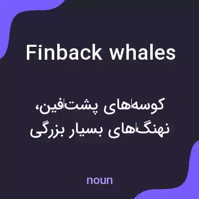 معنی finback whales به فارسی معنی finback whales به فارسی