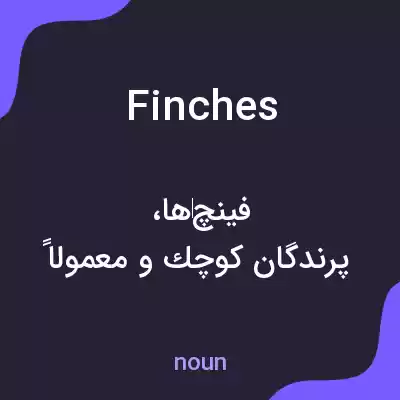 معنی finches به فارسی معنی finches به فارسی
