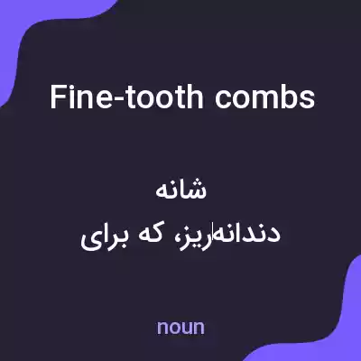 معنی fine-tooth combs به فارسی معنی fine-tooth combs به فارسی