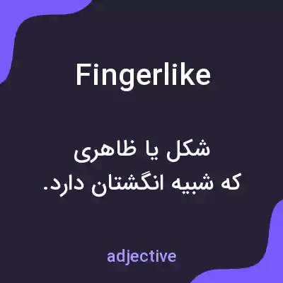 معنی fingerlike به فارسی معنی fingerlike به فارسی