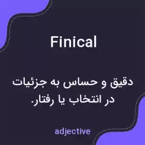 معنی finical به فارسی معنی finical به فارسی