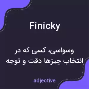 معنی finicky به فارسی معنی finicky به فارسی