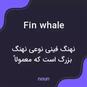 معنی fin whale به فارسی معنی fin whale به فارسی