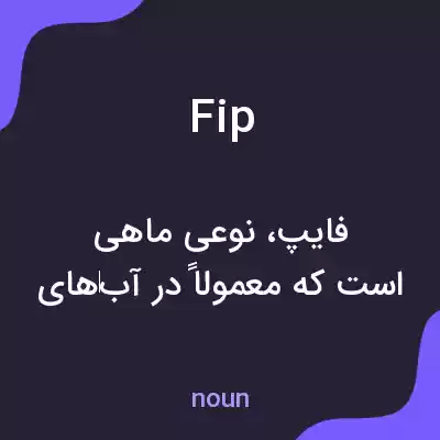 معنی fip به فارسی معنی fip به فارسی