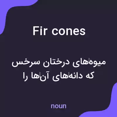 معنی fir cones به فارسی معنی fir cones به فارسی