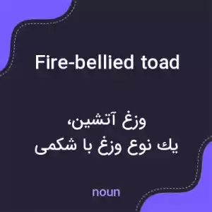 معنی fire-bellied toad به فارسی معنی fire-bellied toad به فارسی