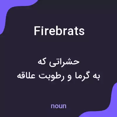 معنی firebrats به فارسی معنی firebrats به فارسی