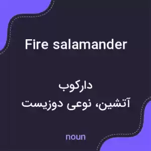 معنی fire salamander به فارسی معنی fire salamander به فارسی