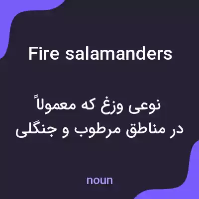 معنی fire salamanders به فارسی معنی fire salamanders به فارسی
