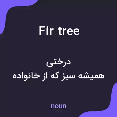 معنی fir tree به فارسی معنی fir tree به فارسی