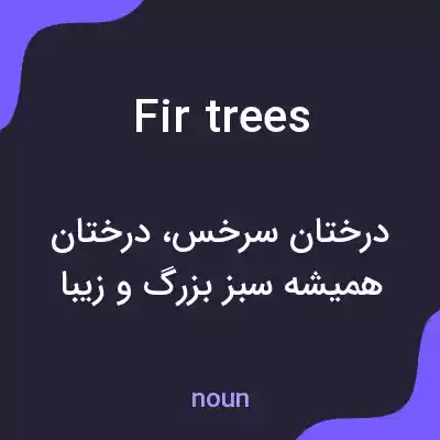 معنی fir trees به فارسی معنی fir trees به فارسی