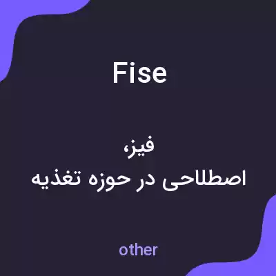 معنی fise به فارسی معنی fise به فارسی