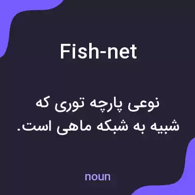 معنی fish-net به فارسی معنی fish-net به فارسی