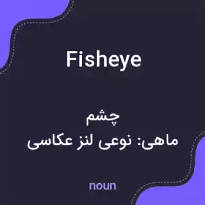 معنی fisheye به فارسی معنی fisheye به فارسی
