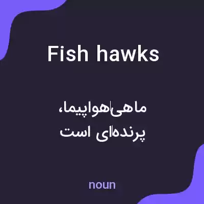 معنی fish hawks به فارسی معنی fish hawks به فارسی