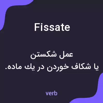 معنی fissate به فارسی