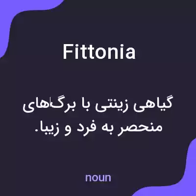 معنی fittonia به فارسی معنی fittonia به فارسی