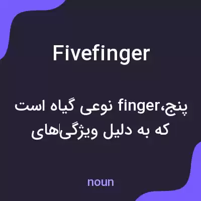 معنی five finger به فارسی معنی five finger به فارسی