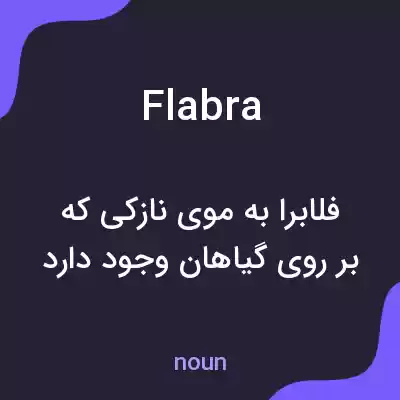 معنی flabra به فارسی