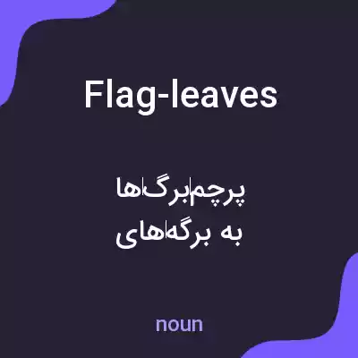 معنی flag-leaves به فارسی معنی flag-leaves به فارسی