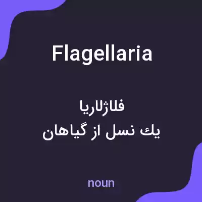 معنی flagellaria به فارسی معنی flagellaria به فارسی