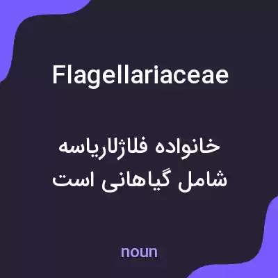 معنی flagellariaceae به فارسی معنی flagellariaceae به فارسی