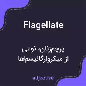 معنی flagellate به فارسی معنی flagellate به فارسی