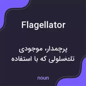 معنی flagellator به فارسی معنی flagellator به فارسی