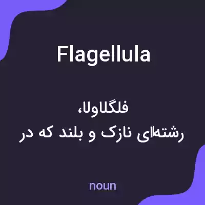 معنی flagellula به فارسی معنی flagellula به فارسی