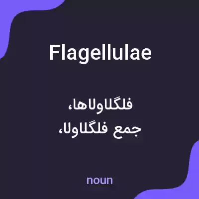 معنی flagellulae به فارسی معنی flagellulae به فارسی