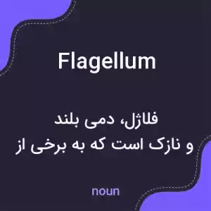 معنی flagellum به فارسی معنی flagellum به فارسی