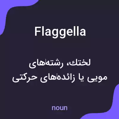 معنی flaggella به فارسی
