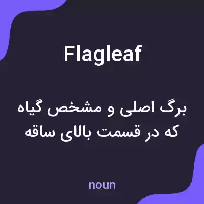 معنی flagleaf به فارسی معنی flagleaf به فارسی