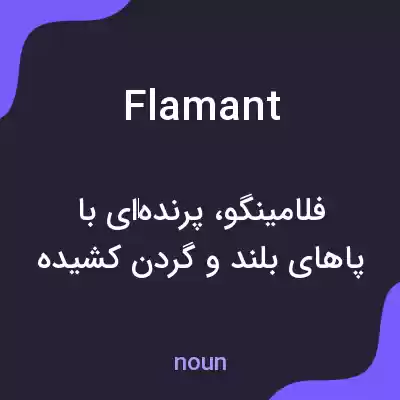 معنی flamant به فارسی